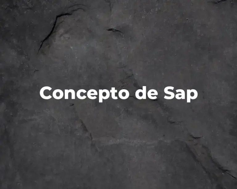 Concepto de Sap