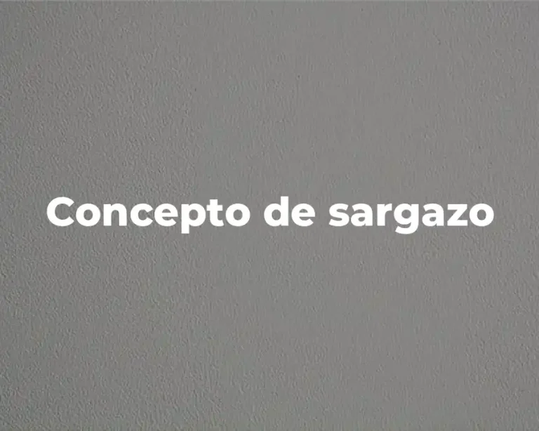 Concepto de sargazo