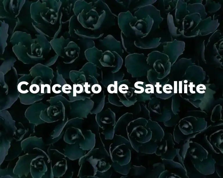 Concepto de Satellite