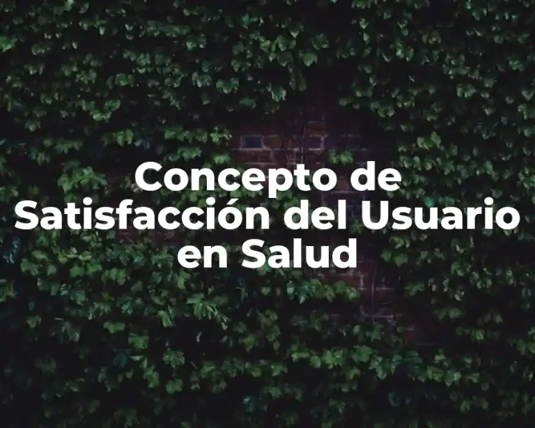 Concepto de Satisfacción del Usuario en Salud