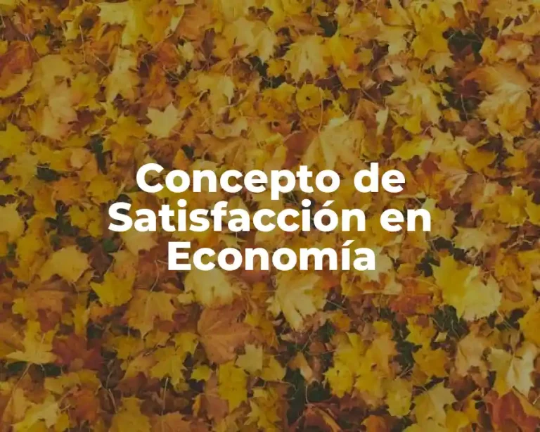 Concepto de Satisfacción en Economía