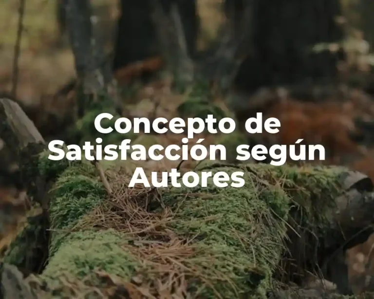 Concepto de Satisfacción según Autores