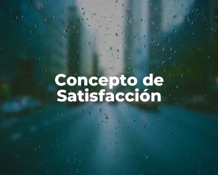 Concepto de Satisfacción