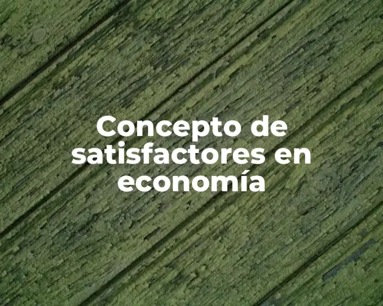 Concepto de satisfactores en economía