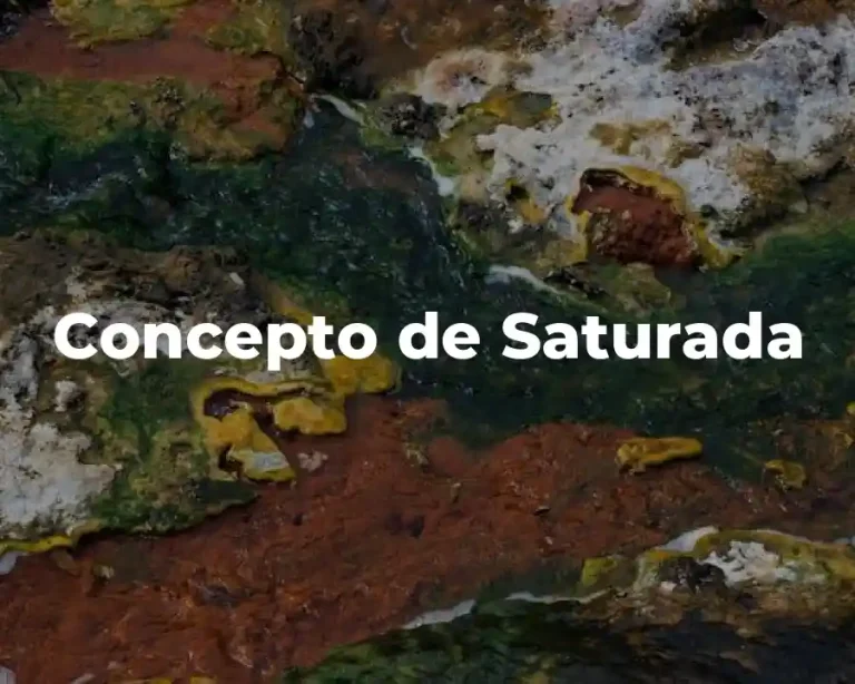 Concepto de Saturada