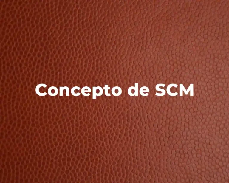 Concepto de SCM