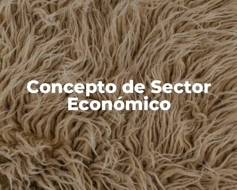 Concepto de Sector Económico