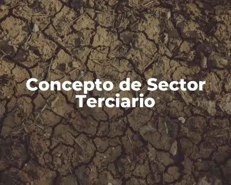 Concepto de Sector Terciario