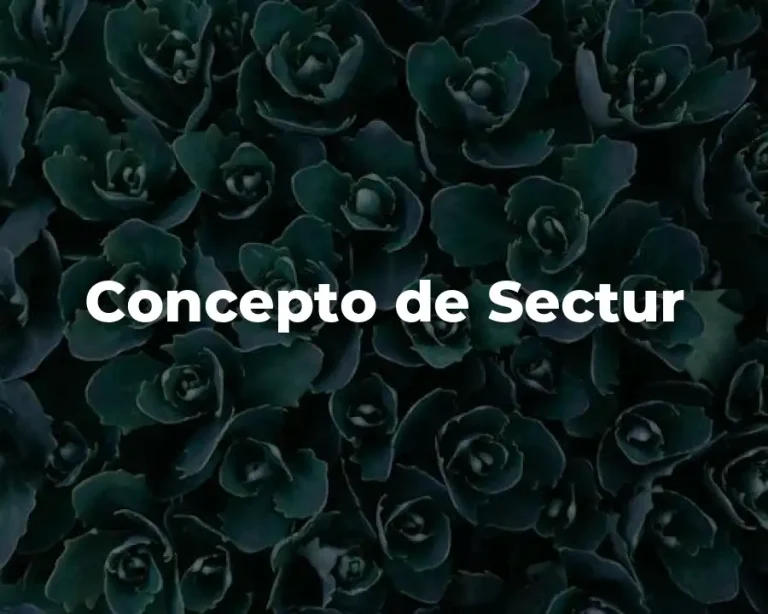 Concepto de Sectur