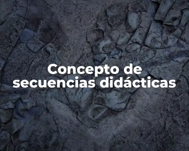 Concepto de secuencias didácticas