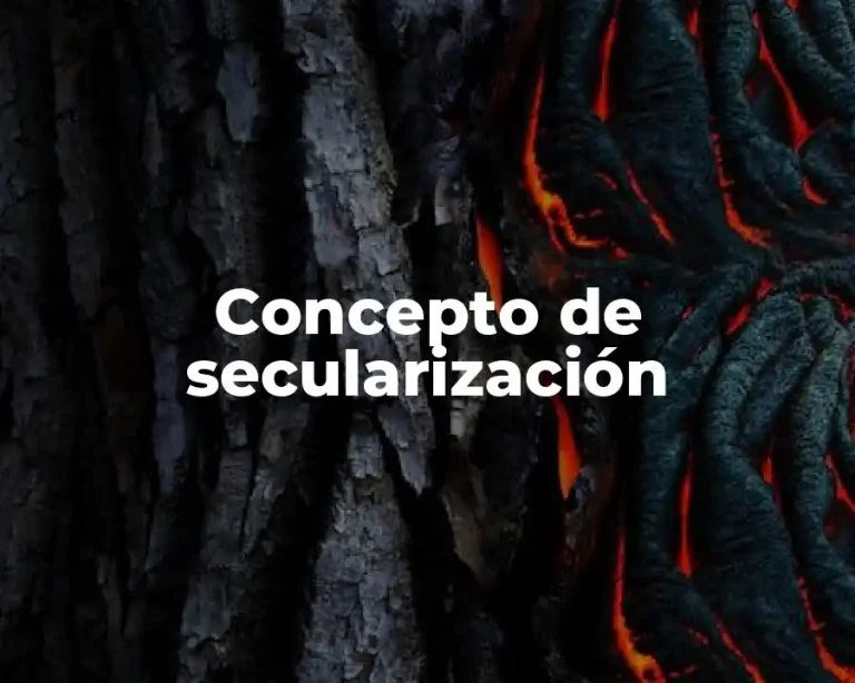 Concepto de secularización