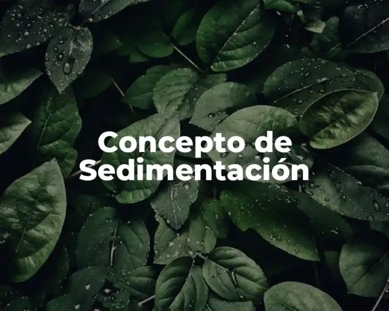 Concepto de Sedimentación