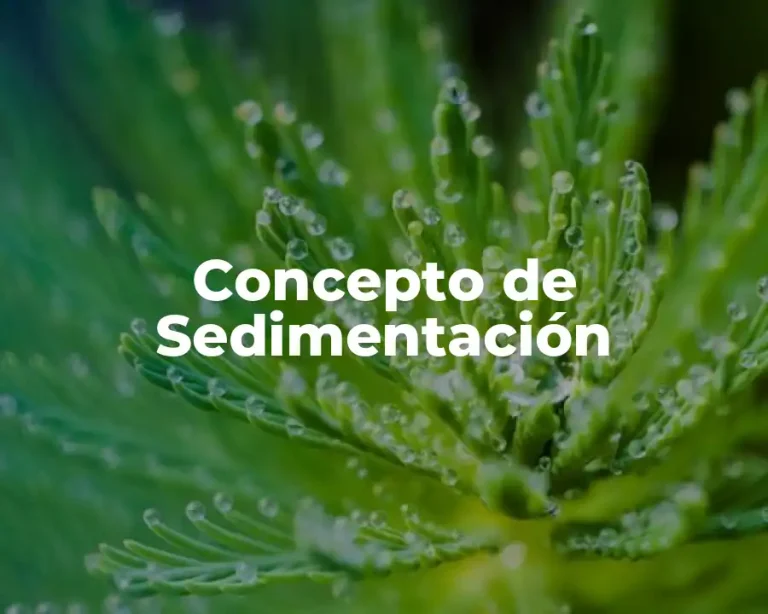 Concepto de Sedimentación