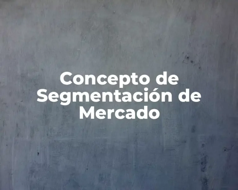 Concepto de Segmentación de Mercado