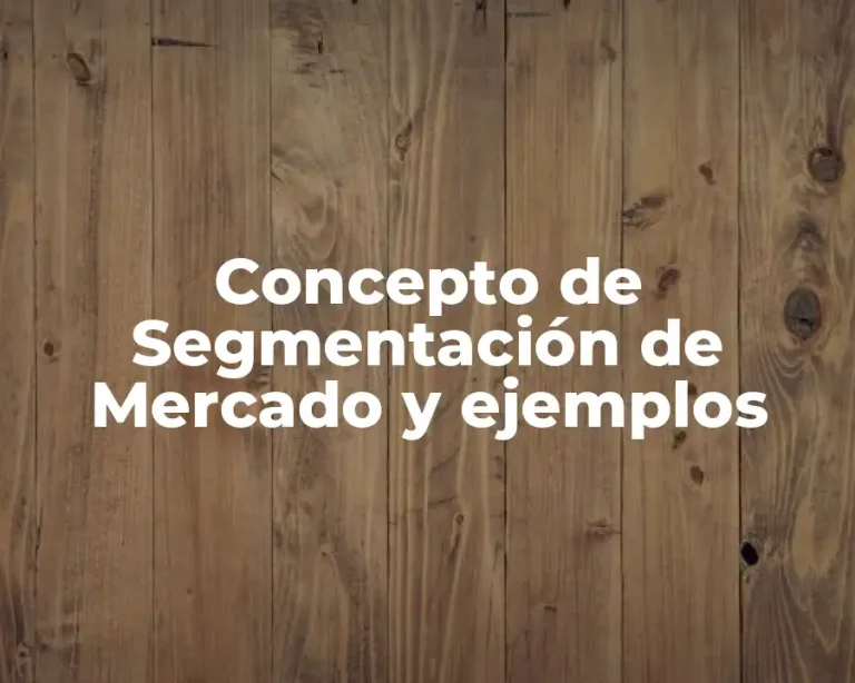 Concepto de Segmentación de Mercado y ejemplos