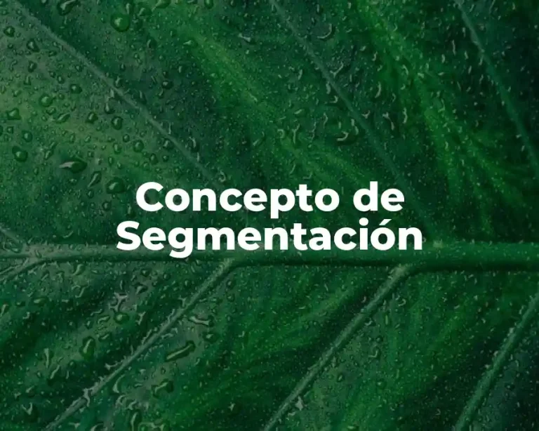 Concepto de Segmentación