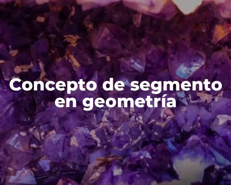 Concepto de Segmento en Geometría