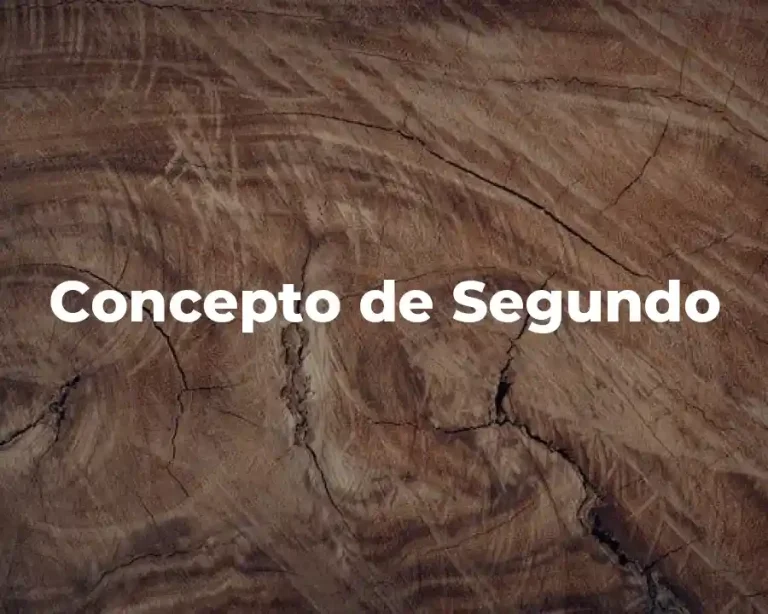 Concepto de Segundo