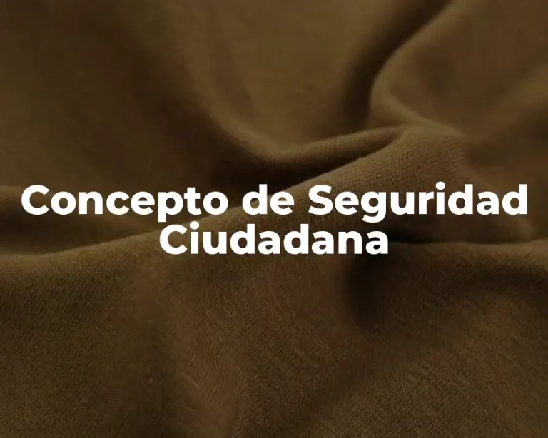 Concepto de Seguridad Ciudadana