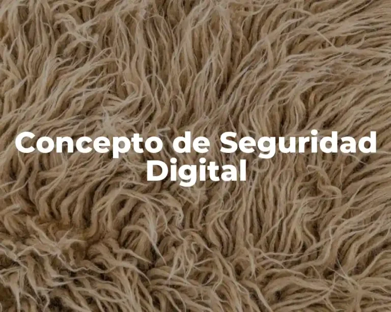 Concepto de Seguridad Digital