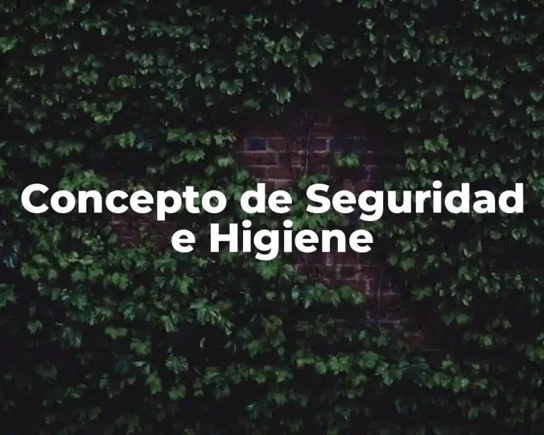 Concepto de Seguridad e Higiene