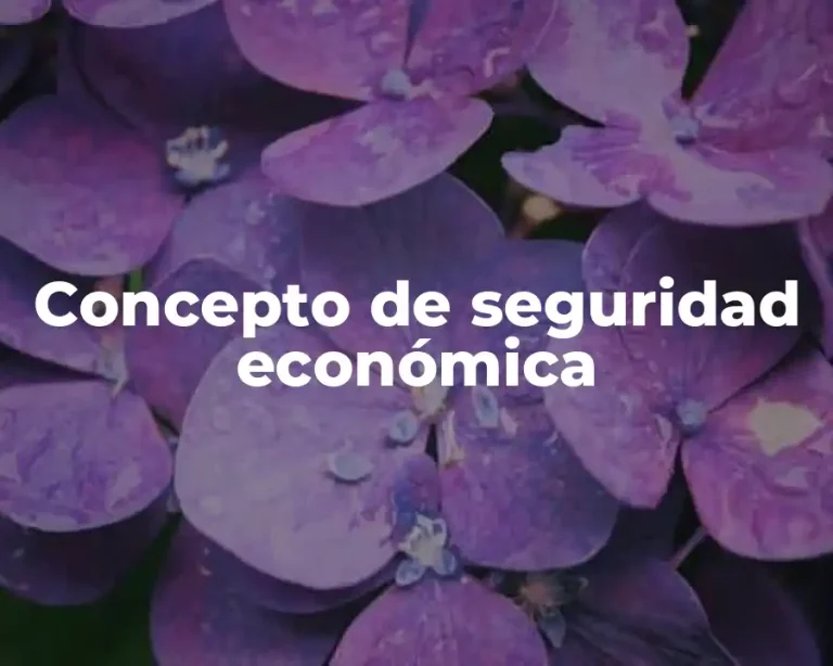 Concepto de seguridad económica