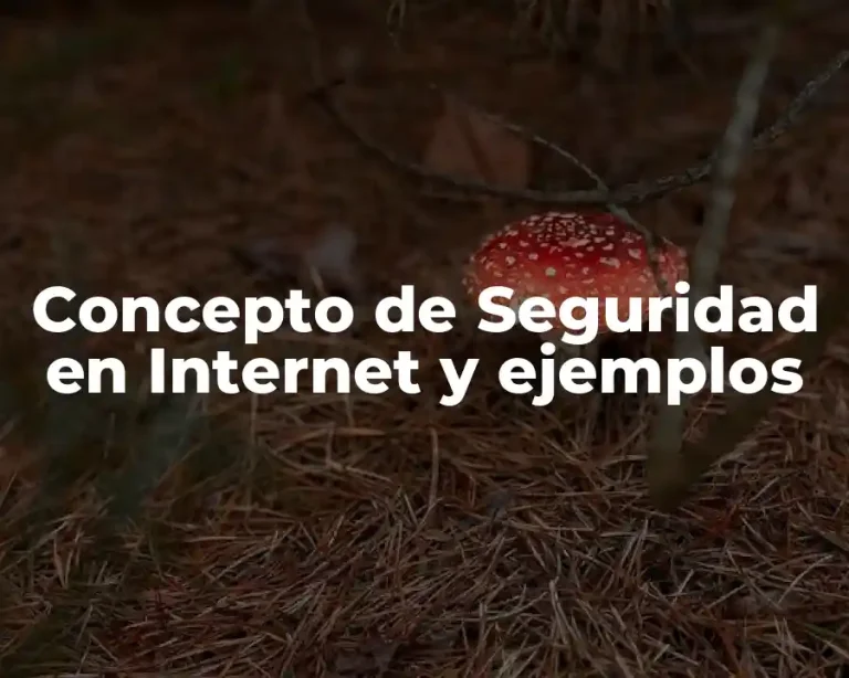 Concepto de Seguridad en Internet y ejemplos