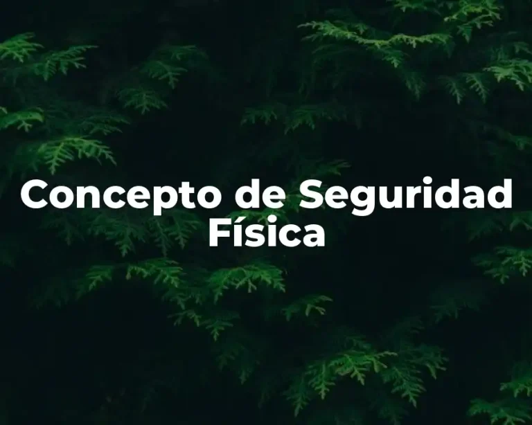 Concepto de Seguridad Física