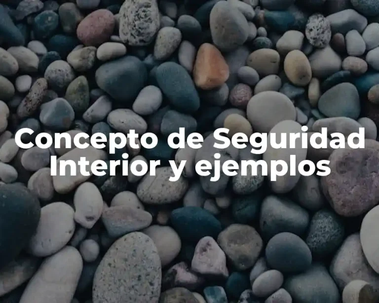 Concepto de Seguridad Interior y ejemplos