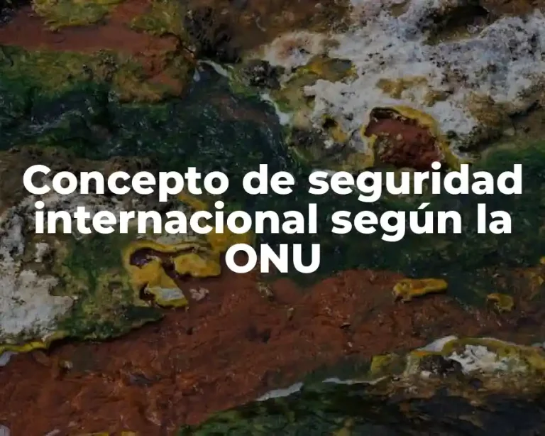 Concepto de seguridad internacional según la ONU