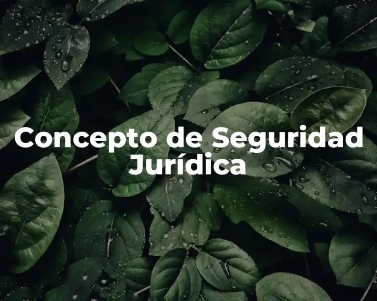 Concepto de Seguridad Jurídica