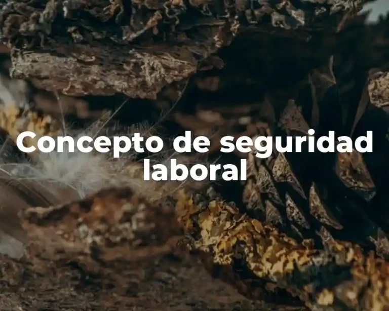 Concepto de seguridad laboral
