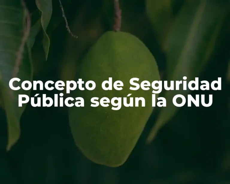 Concepto de Seguridad Pública según la ONU