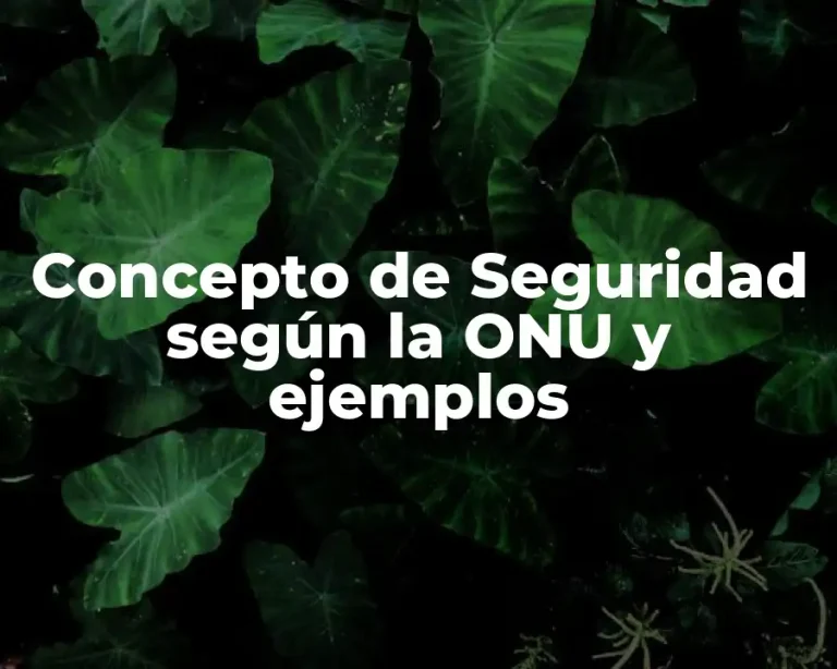 Concepto de Seguridad según la ONU y ejemplos