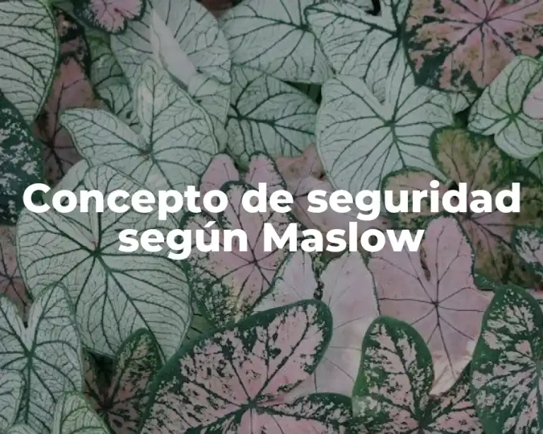 Concepto de seguridad según Maslow