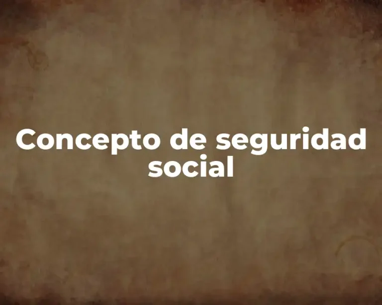 Concepto de seguridad social