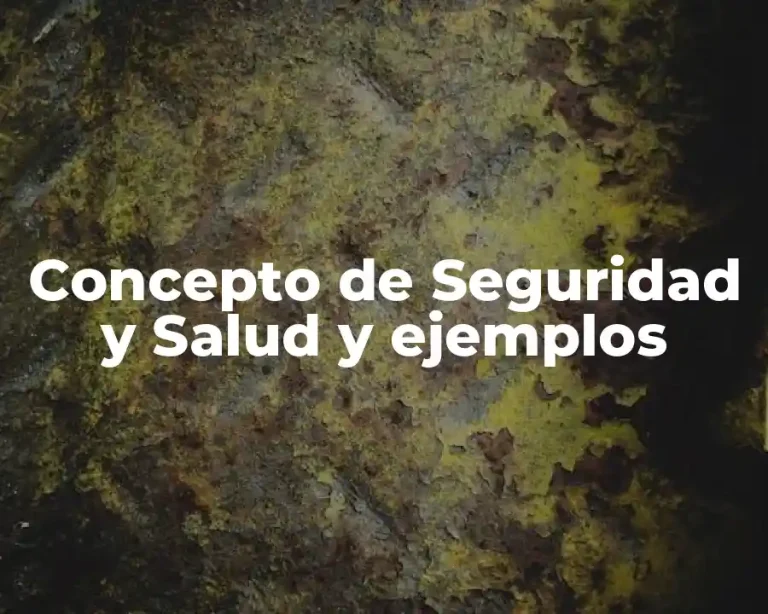 Concepto de Seguridad y Salud y ejemplos