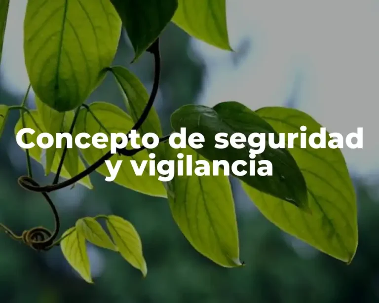 Concepto de seguridad y vigilancia