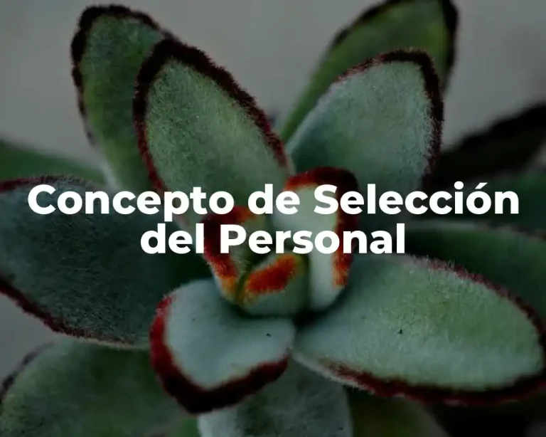 Concepto de Selección del Personal