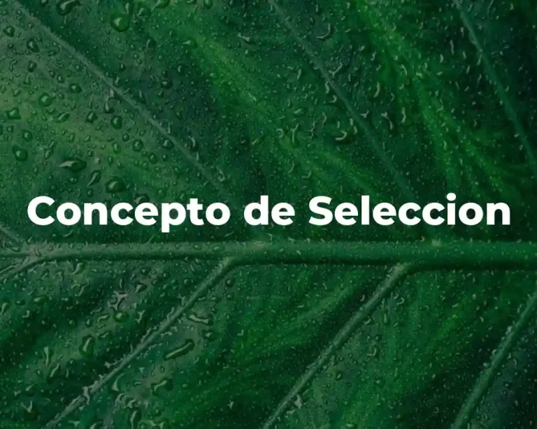 Concepto de Seleccion