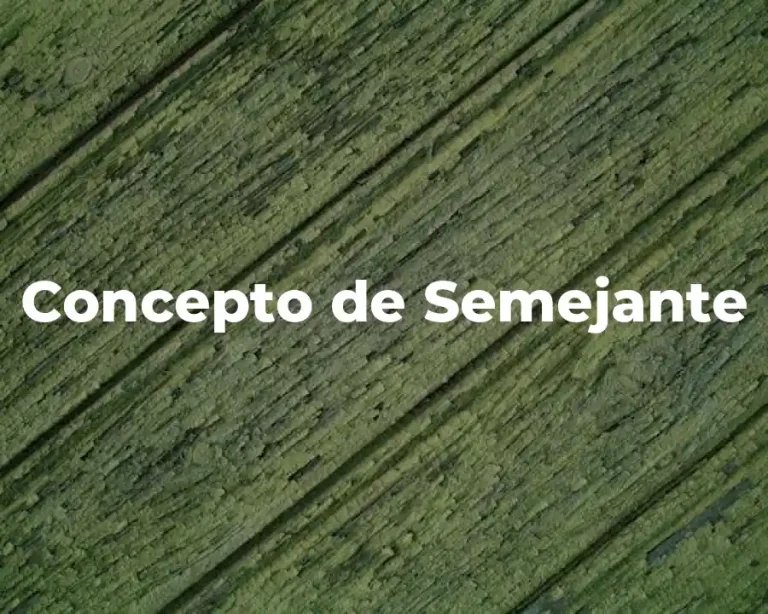 Concepto de Semejante