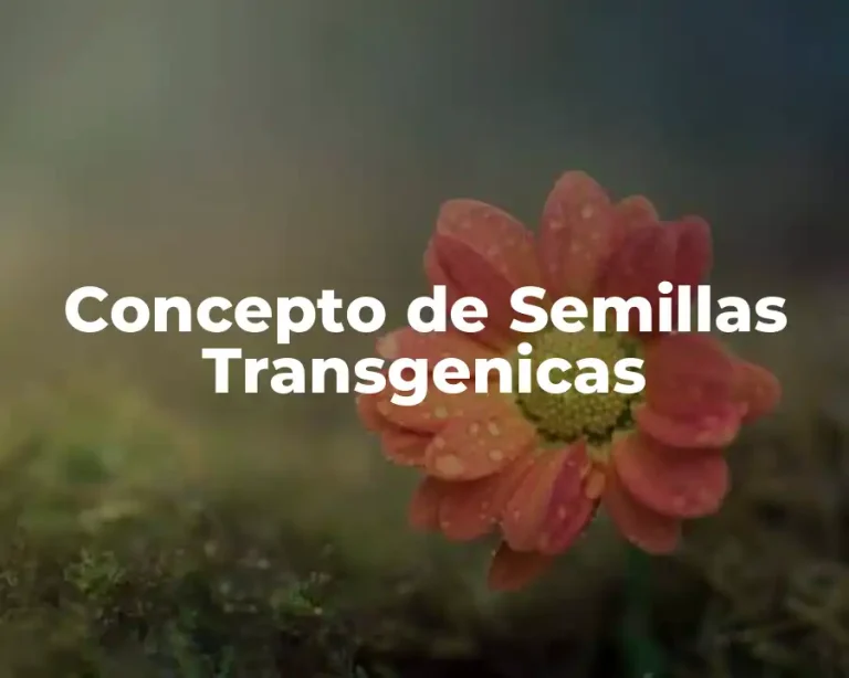 Concepto de Semillas Transgenicas
