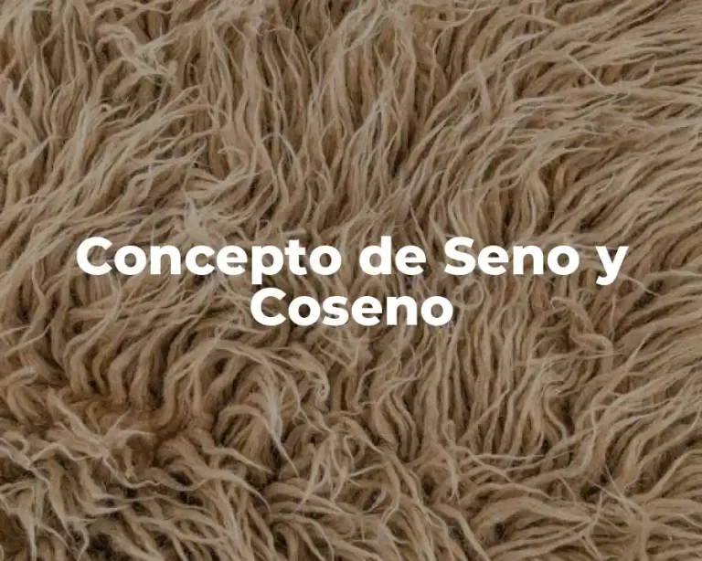 Concepto de Seno y Coseno