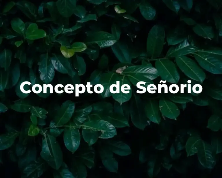 Concepto de Señorio