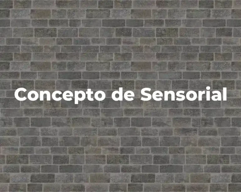 Concepto de Sensorial
