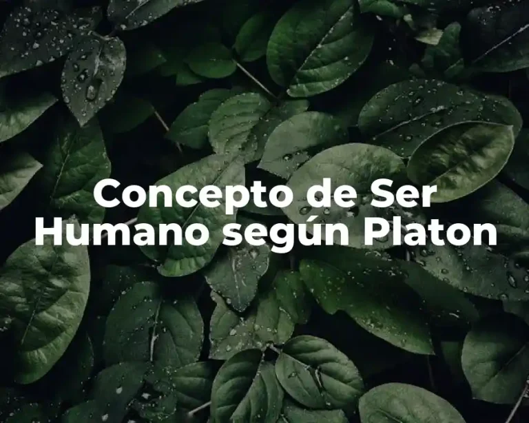 Concepto de Ser Humano según Platon