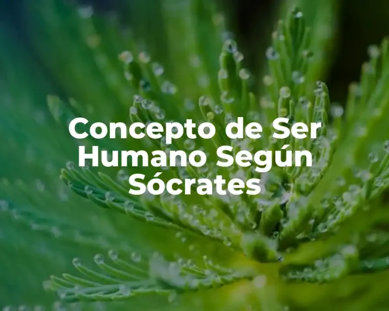 Concepto de Ser Humano Según Sócrates