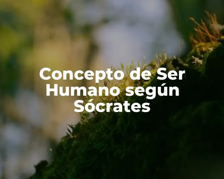 Concepto de Ser Humano según Sócrates