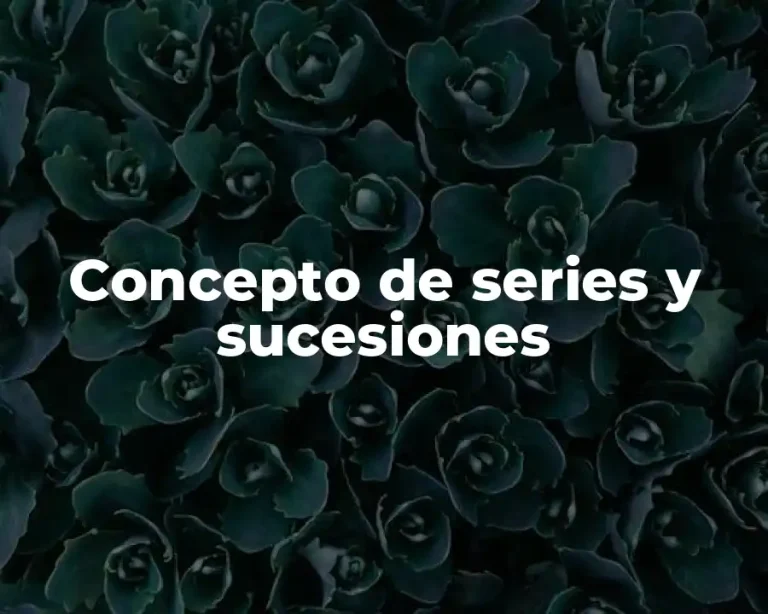 Concepto de series y sucesiones