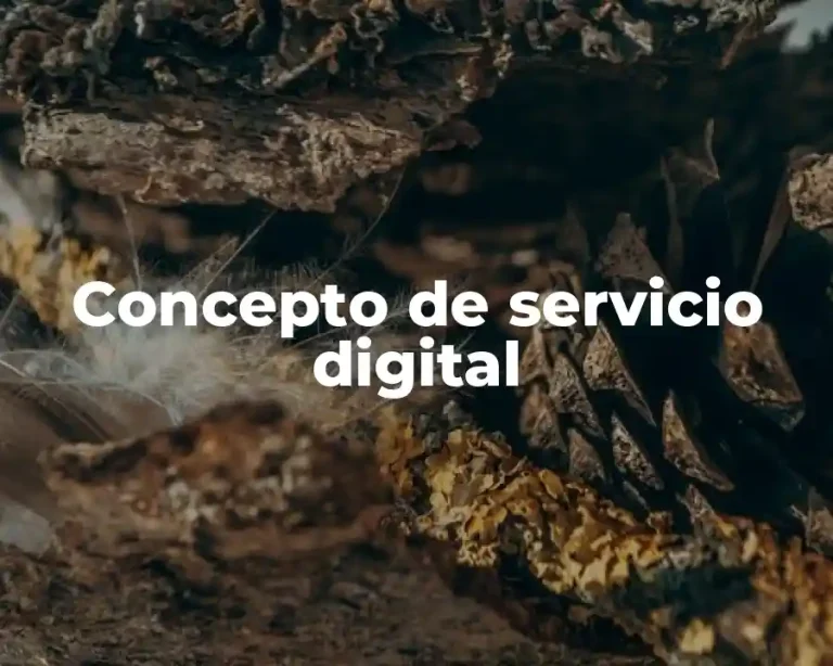 Concepto de servicio digital